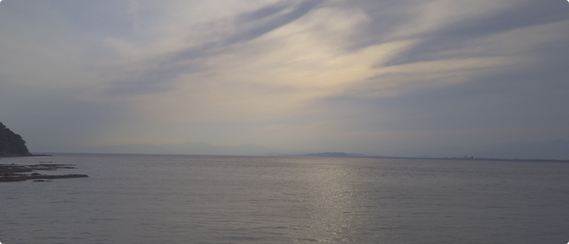 （Videography Proで撮影した動画から切り出した静止画）