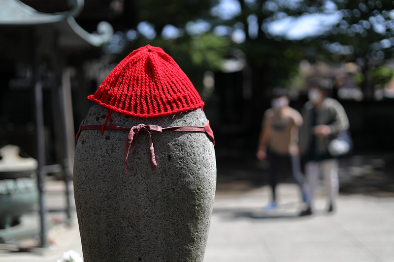 ボケ味はそんなに良くはないんだけど、合焦点の描写はしっかりとシャープなわけです。そのうち何かハマるものが撮れるんじゃないかと妄想しておりますがこれは重要なことです。<br>EOS R　EF50mm F1.8 STM（F2.5・1/2,000秒）ISO 100