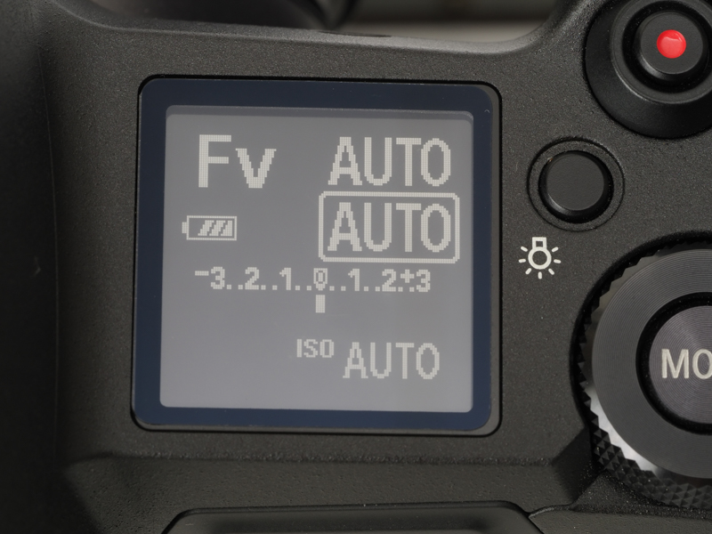 FVモードでAUTOが3つ並んだら、果たしてカメラは何をどうしているんだろうということがわからないですが、この状態からダイヤルとか十字キーを使うなどして、好きな数字を選んでね、と選ぶそうです。上手に使用している方、後で指南をお願いします。