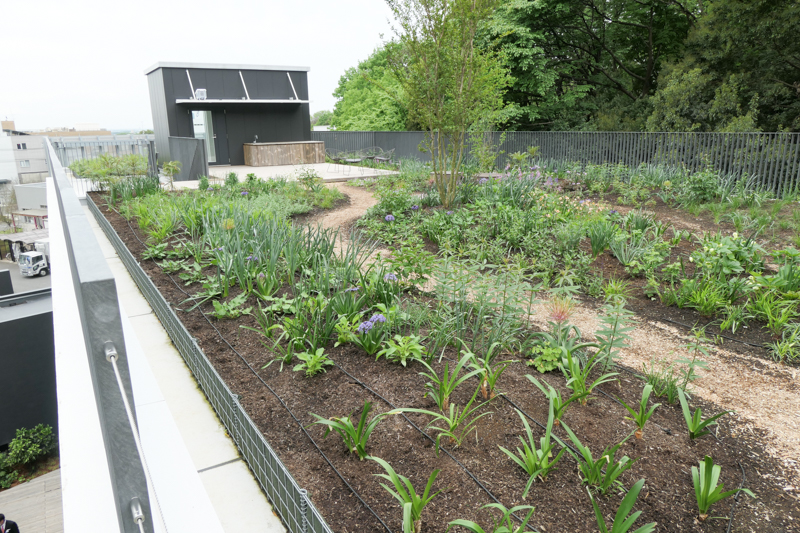 建物の中も外も、開放感たっぷりの豊かな空間だった