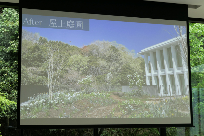 屋上庭園。右の白い建物が高層棟