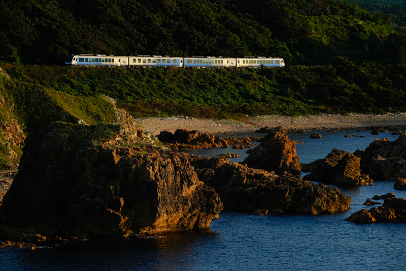 ソニーα1　FE 70-200mm F2.8 GM OSS（167mm） 絞り優先オート（F8、1/640秒）ISO 800　WB：太陽光