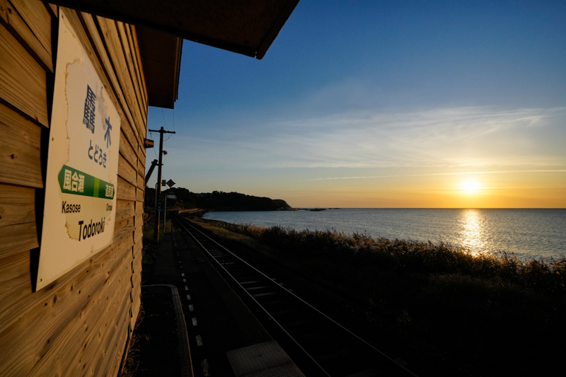 ソニーα1　FE 16-35mm F2.8 GM（16mm） 絞り優先オート（F8、1/4,000秒）ISO 800　WB：太陽光