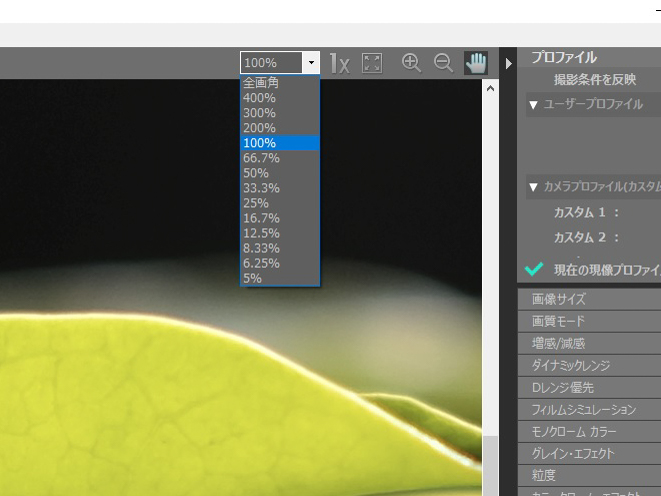 拡大や縮小も可能。画面上のズームボタンや、倍率選択のプルダウンメニューから操作する。ピントやブレのチェックには欠かせない。