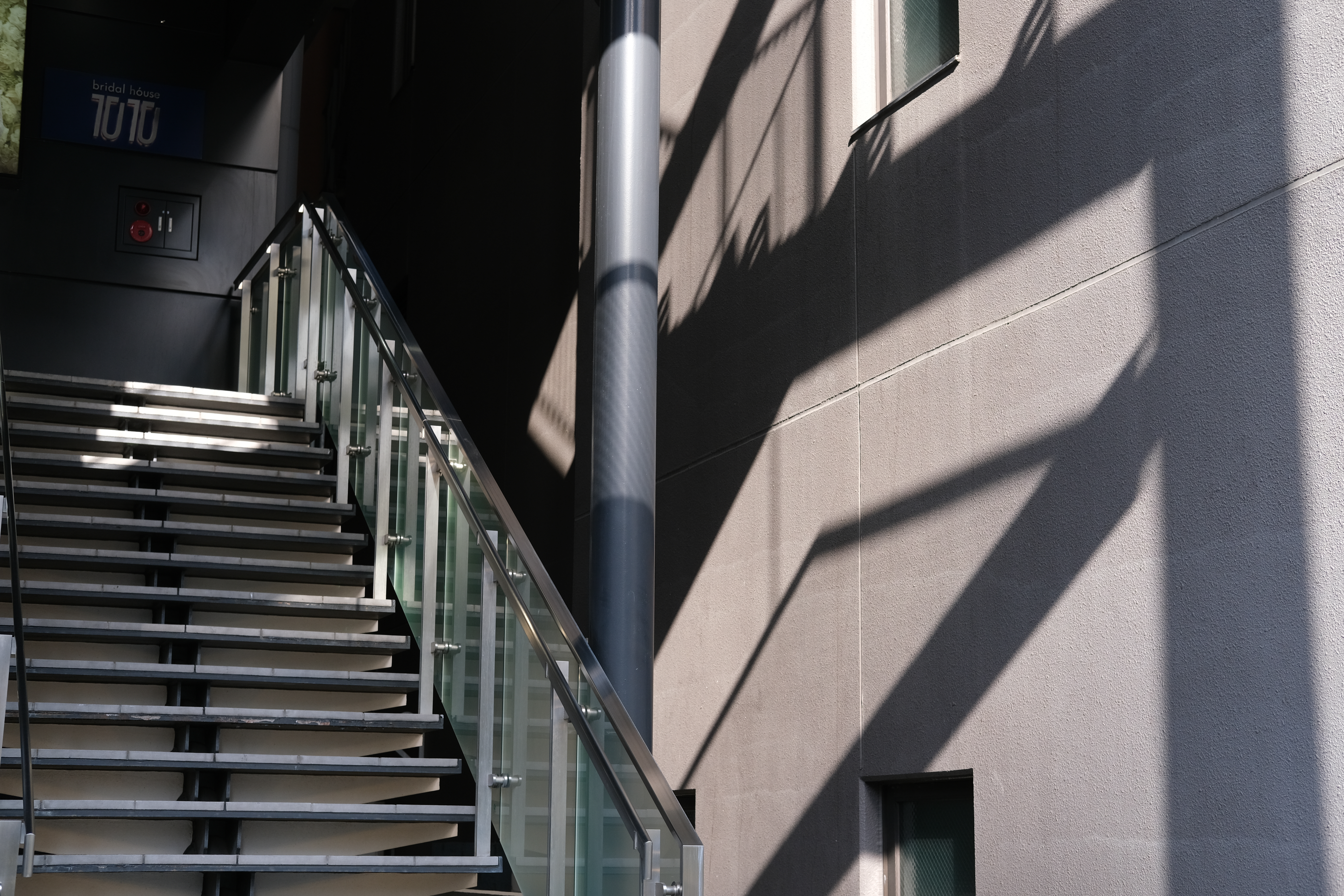 増感/減感を+1EVに設定し、約1段分明るくした。