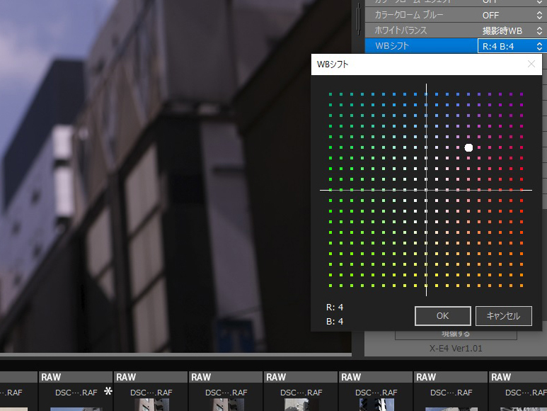 WBシフトでホワイトバランスの微調整もできる。撮影時にもカメラで設定も可能だが、細かなコントロールはパソコンで行った方が狙った色を出しやすい。
