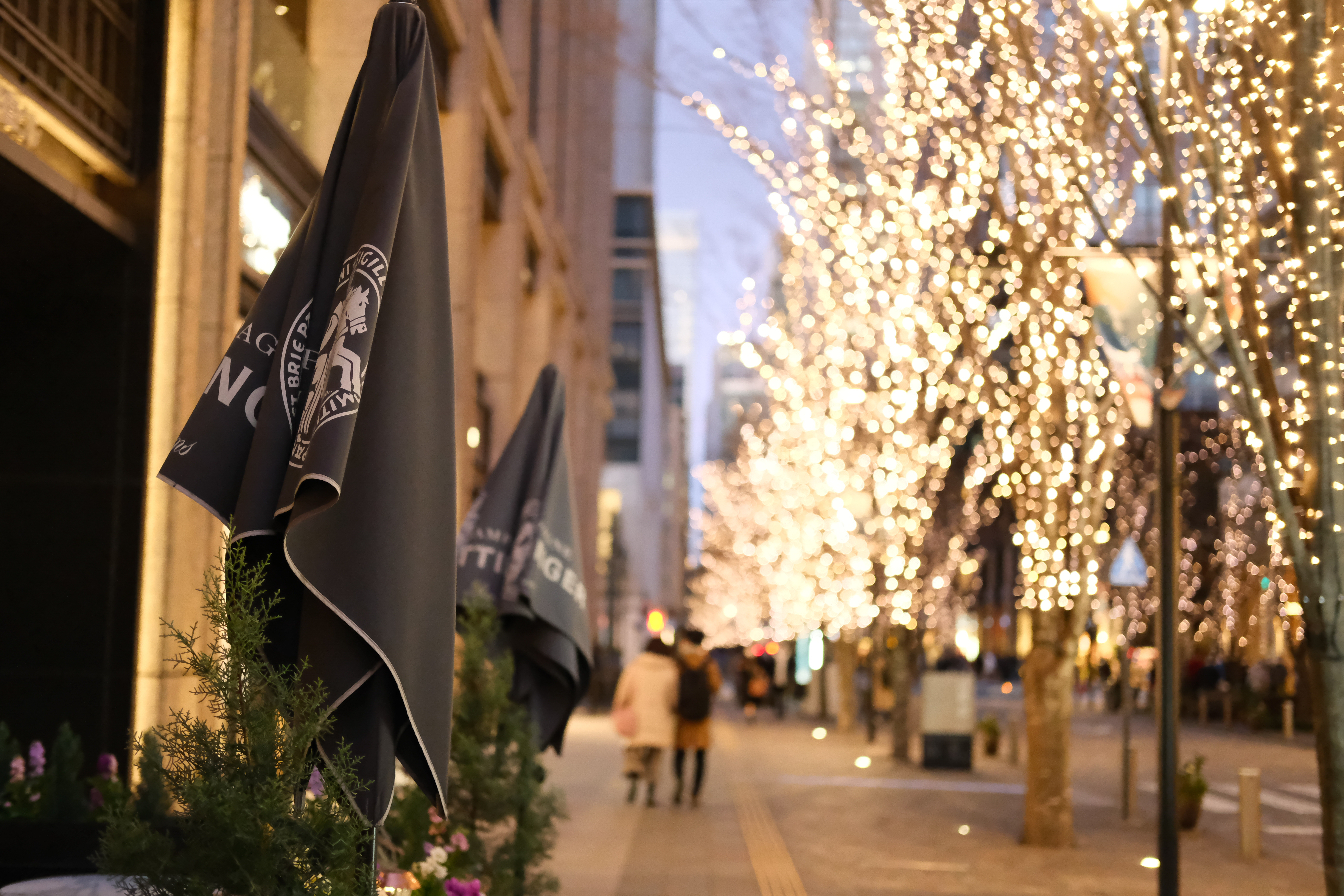 FUJIFILM X RAW STUDIOで「高感度ノイズ低減」を+4に設定。オリジナルよりノイズが目立たなくなった。マイナス側に振るとノイズを目立たせた写真にできる。