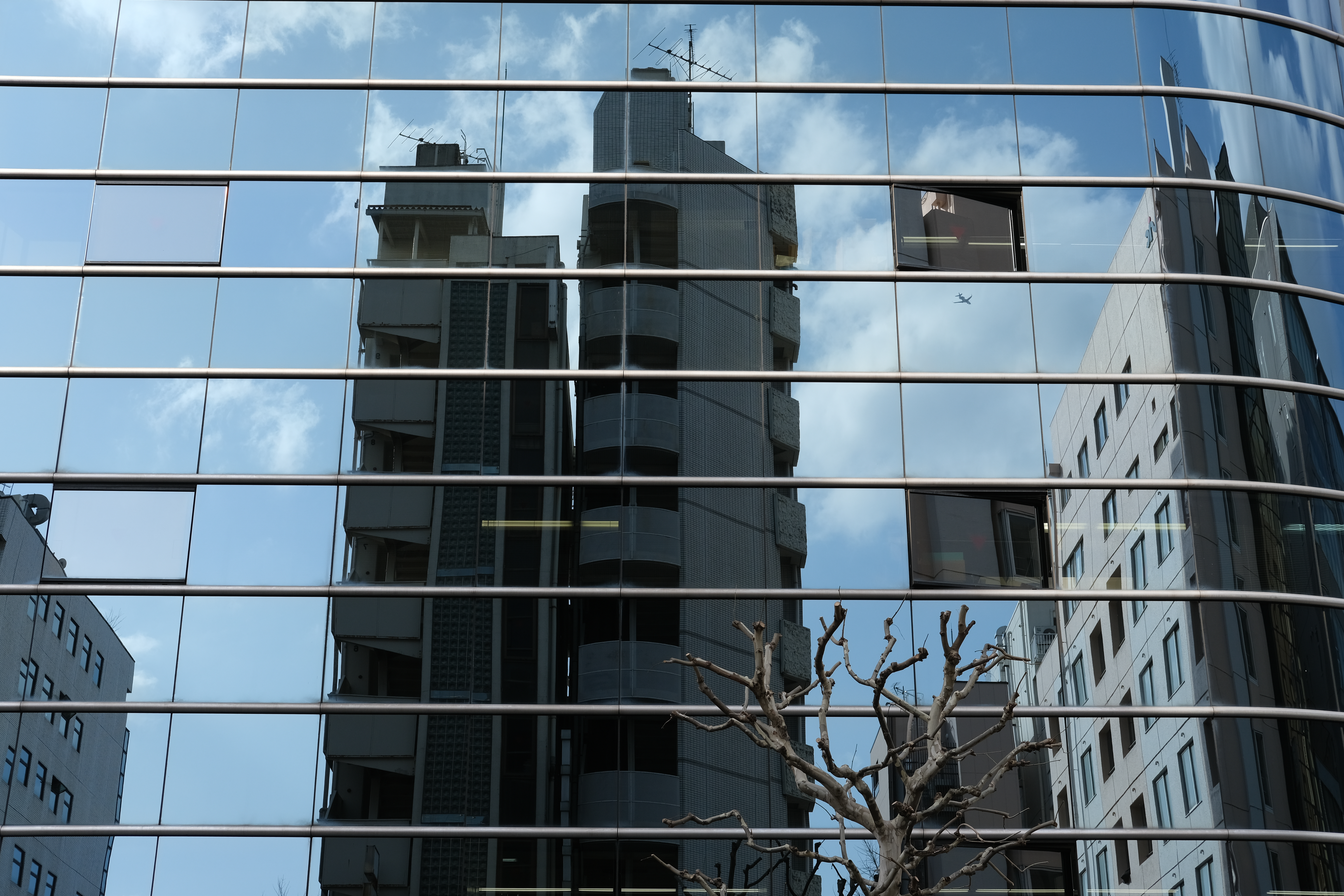 オリジナルJPEGデータ（PROVIA/スタンダード、WBオート）