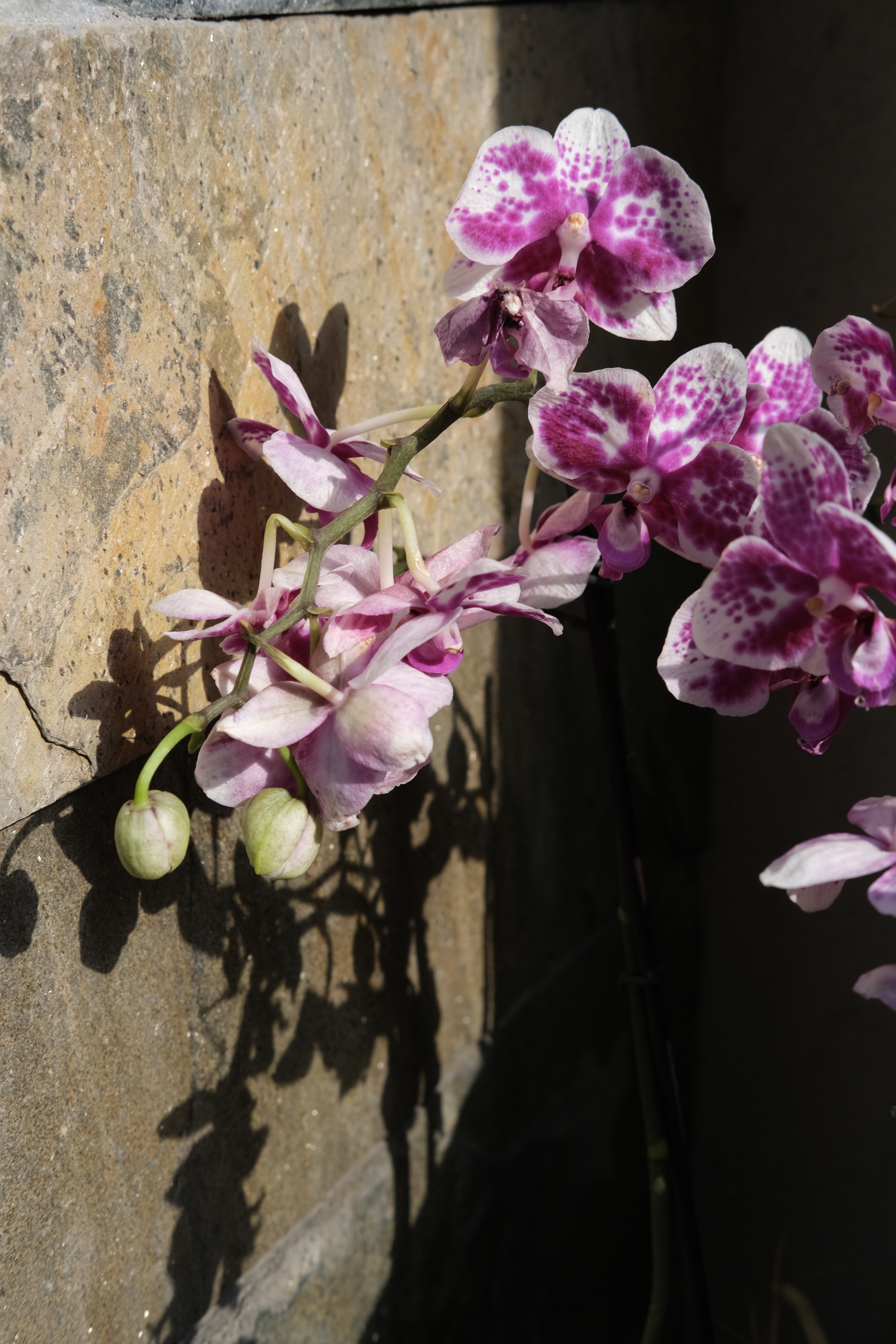 オリジナルJPEGデータ（PROVIA/スタンダード、WBオート）