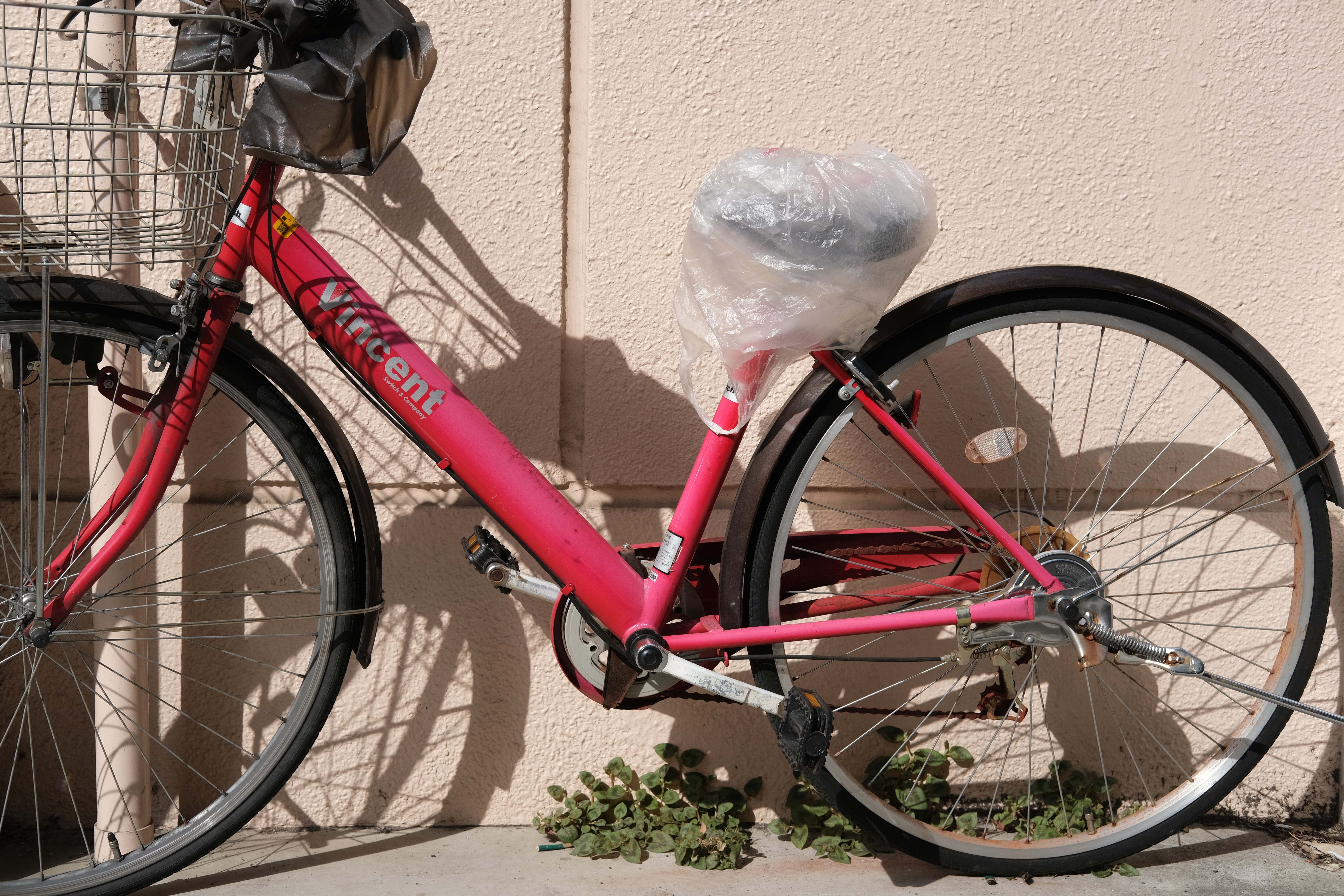 オリジナルJPEGデータ（PROVIA/スタンダード、WBオート）