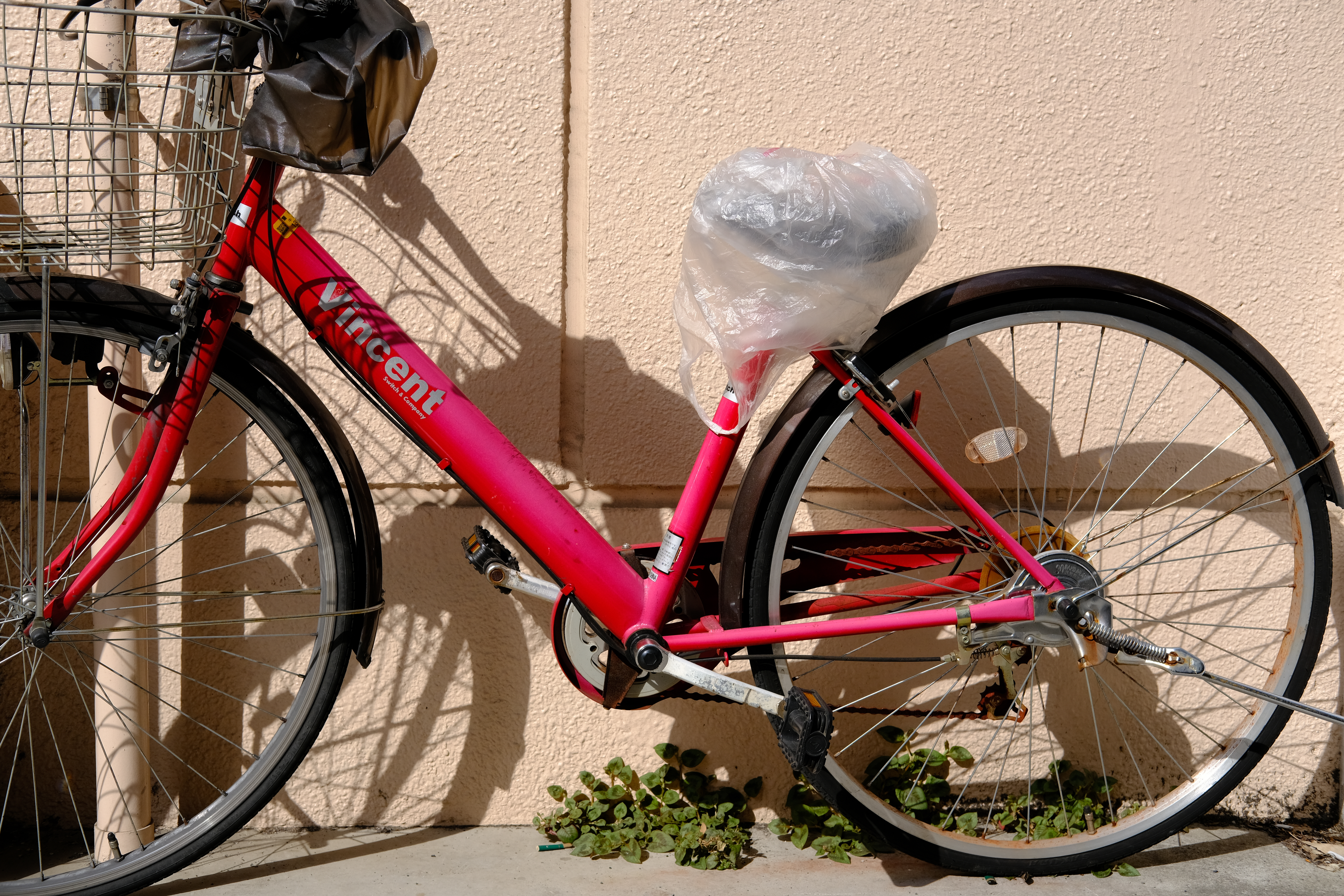 ポップな雰囲気にしたかったので、「フィルムシミュレーション」をVelvia/ビビッド、「カラークローム・エフェクト」を弱に設定。華やかさを感じる写真になった。