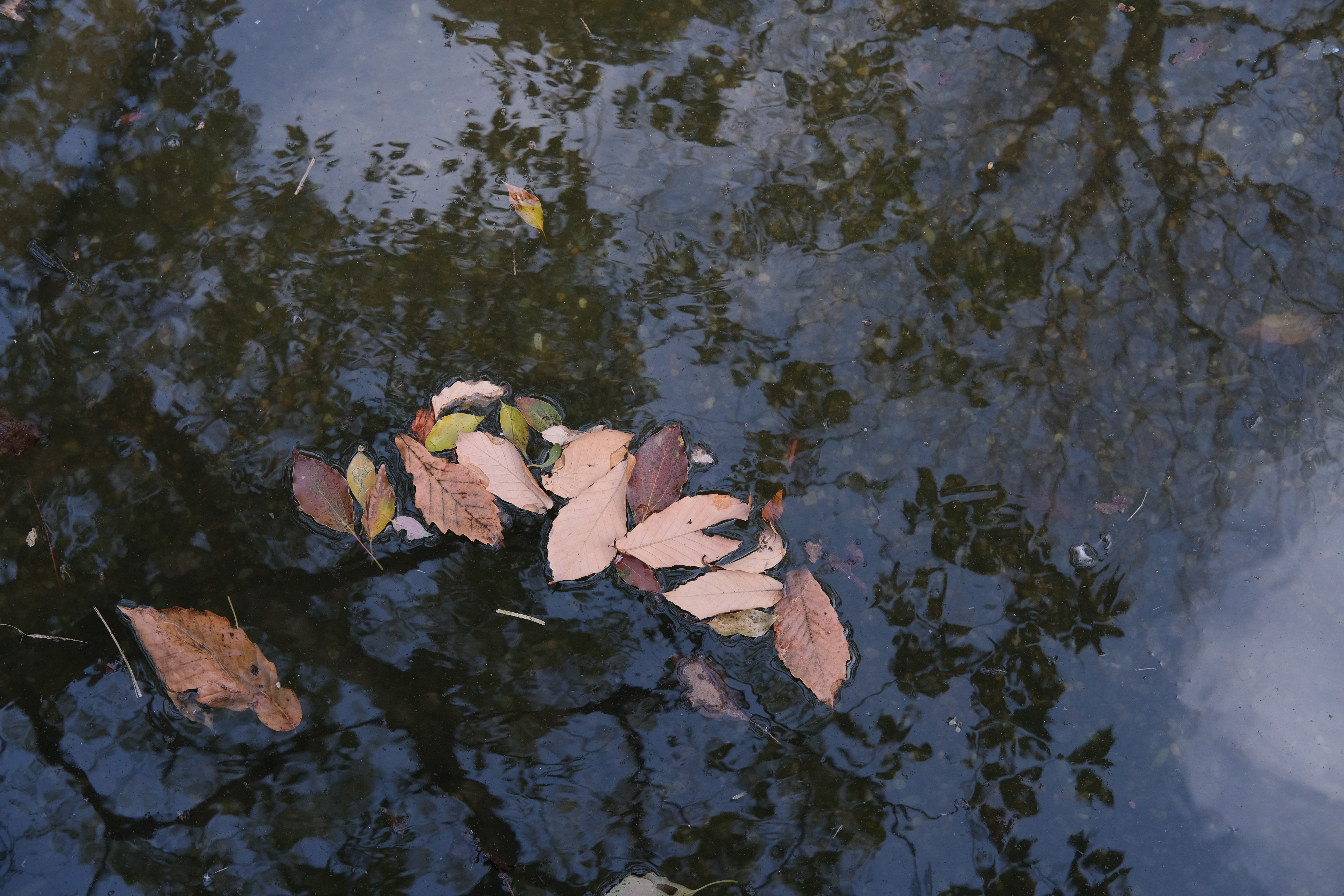 オリジナルJPEGデータ（PROVIA/スタンダード、WBオート）