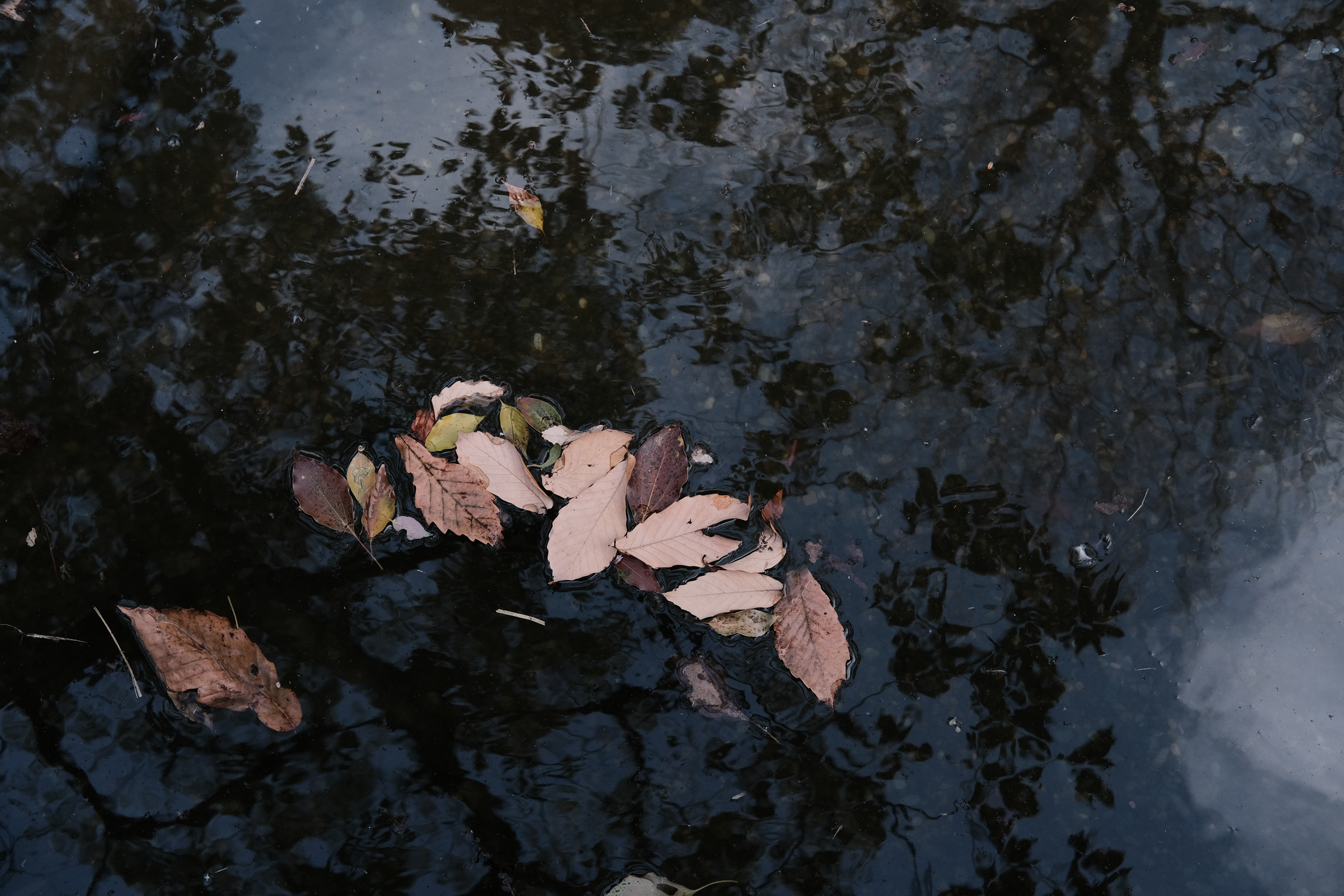 渋い色調を狙って「フィルムシミュレーション」をクラシッククロームに設定。オリジナルではシャドー部が明るすぎるため「増感/減感」を-1/3EV、「シャドウトーン」を+1で重厚感のある仕上がりにした。