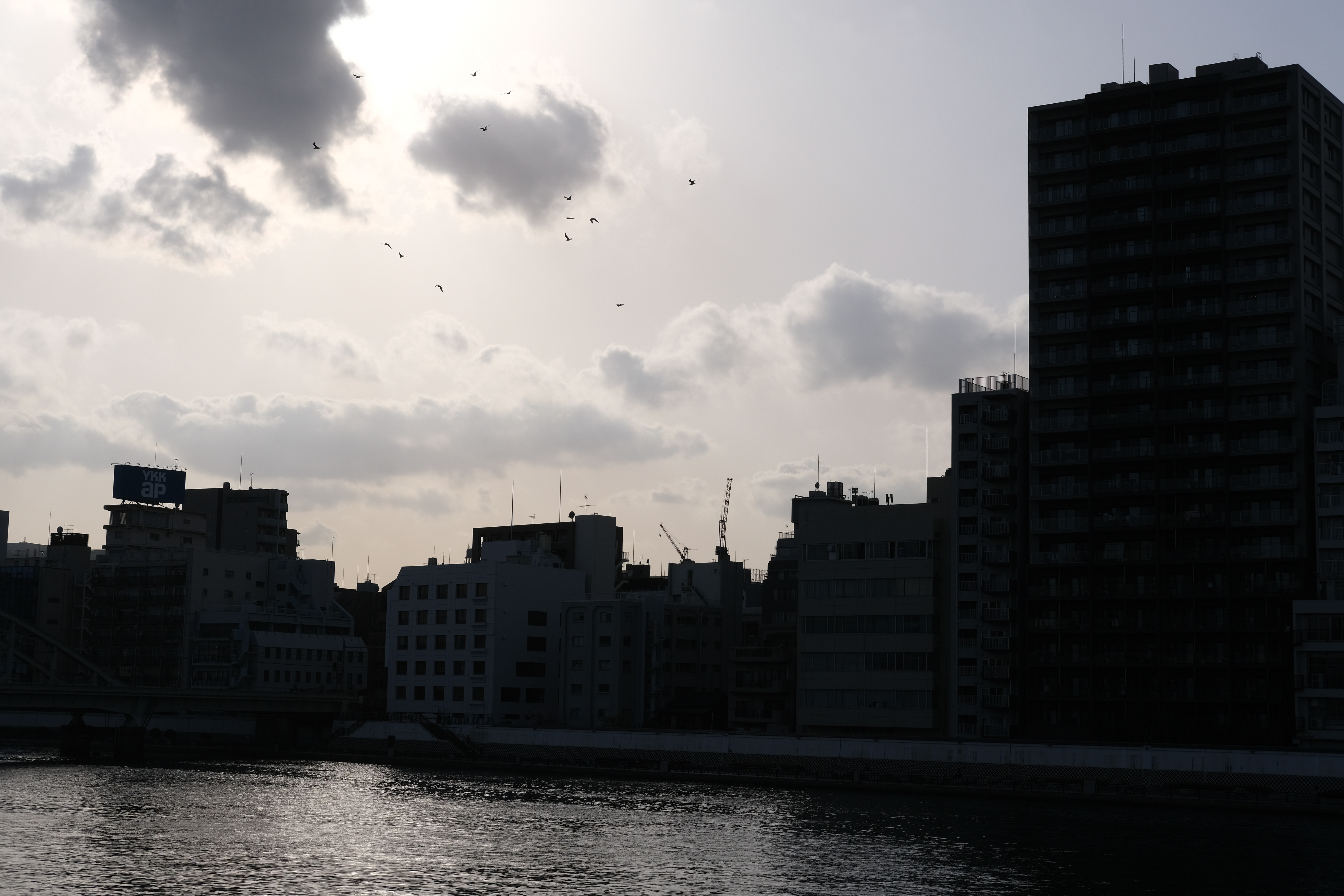 オリジナルJPEGデータ（PROVIA/スタンダード、WBオート）