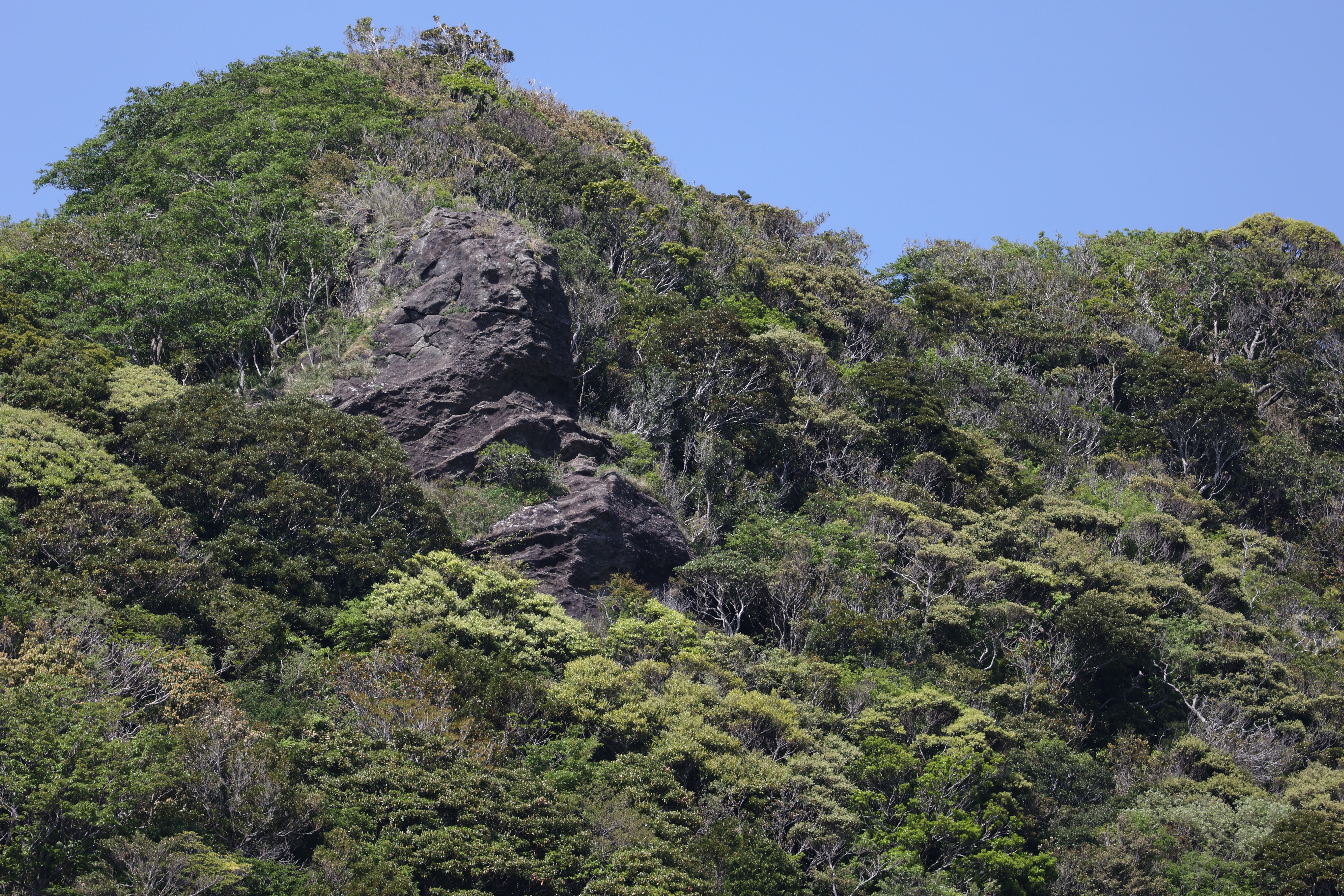 EOS R6　RF100-400mm F5.6-8 IS USM（F8・1/1,000秒）ISO 400　400mm