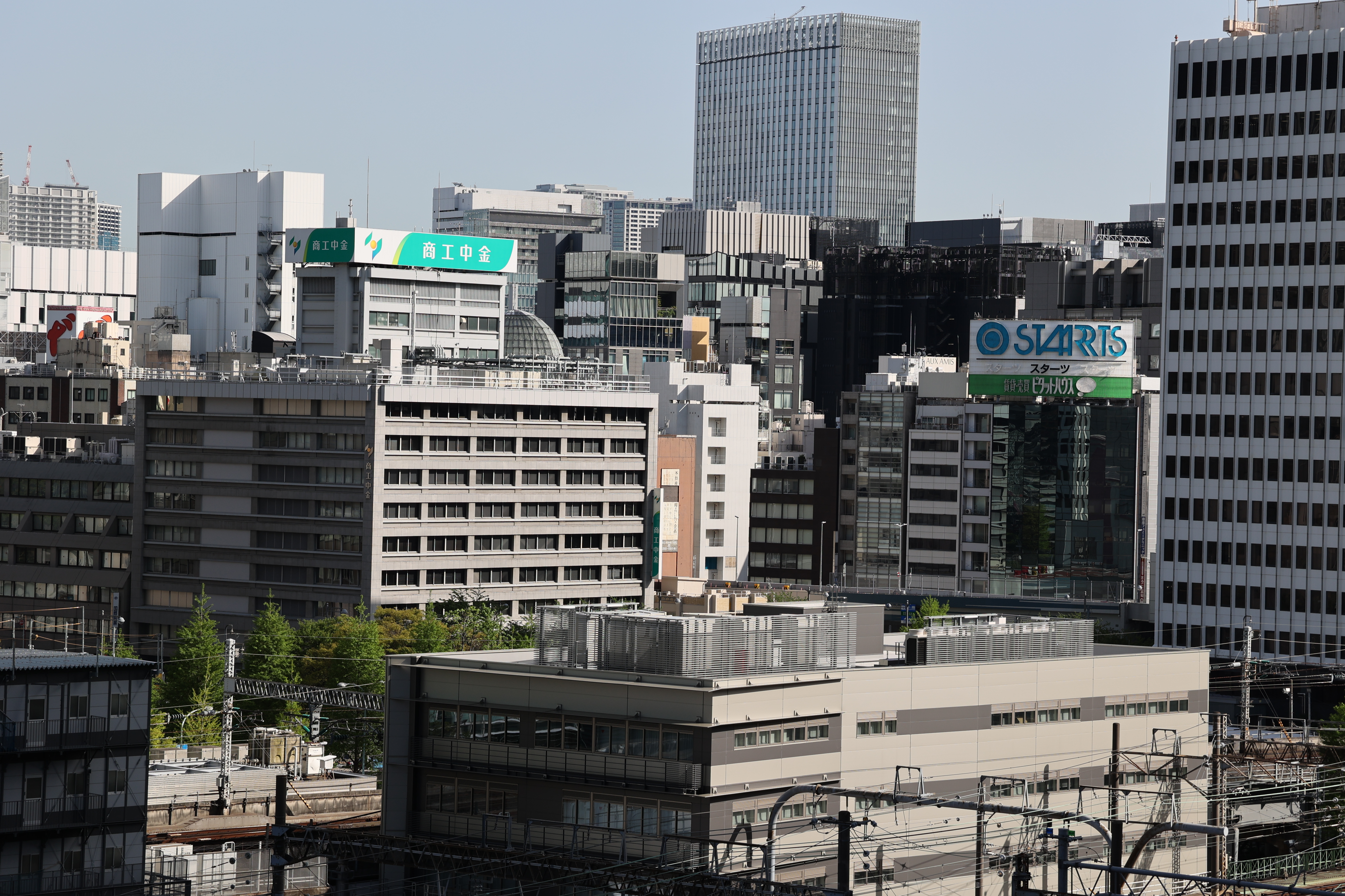 EOS R6　RF100-400mm F5.6-8 IS USM（F8・1/320秒）ISO 100　100mm