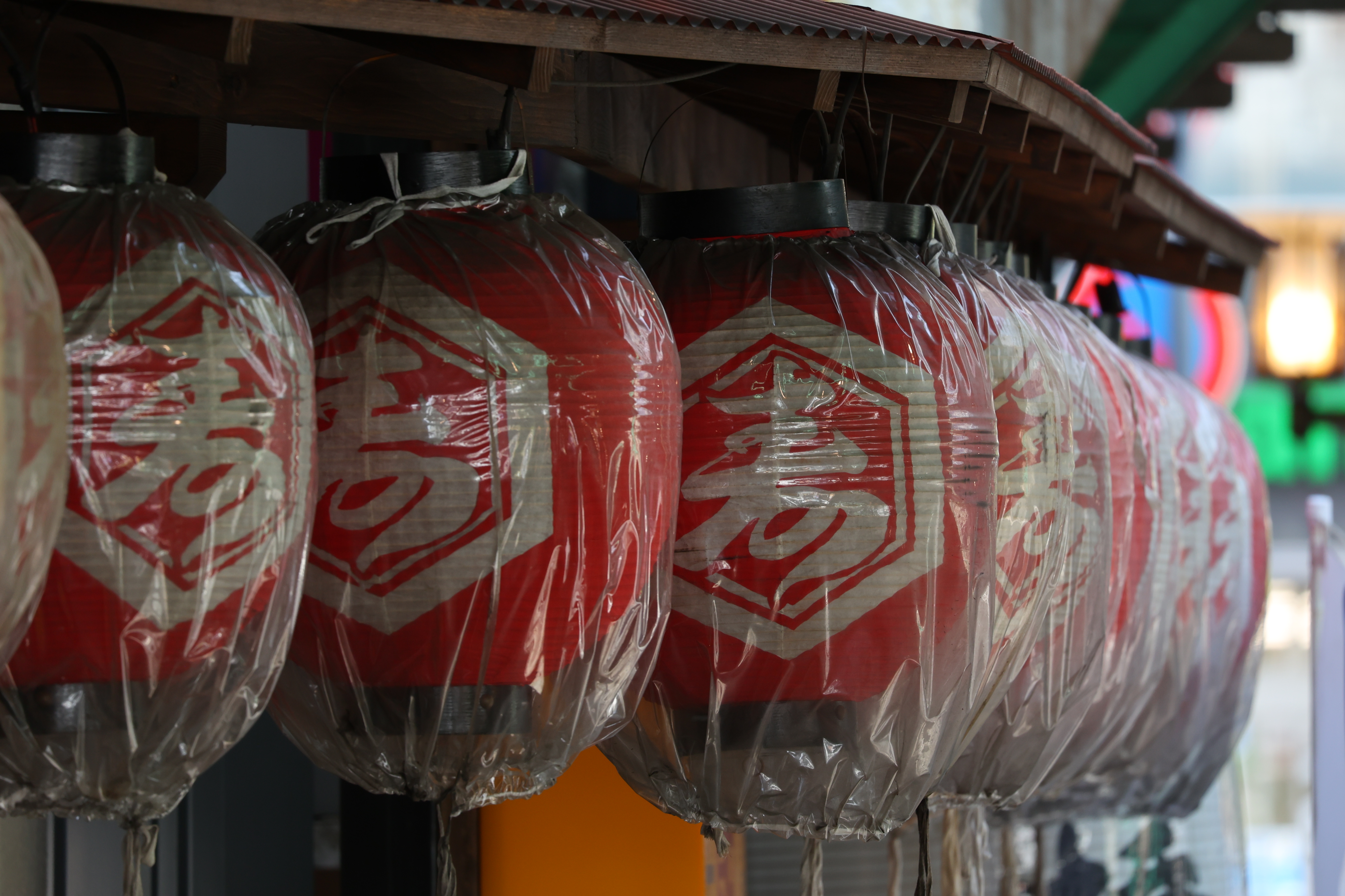 EOS R6　RF100-400mm F5.6-8 IS USM（F8・1/125秒）ISO 800　400mm