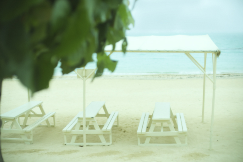 EOS 5D Mark IV／EF50mm F1.4 USM／50mm／マニュアル露出（F2.2、1/3,200秒）／ISO 1250／WB：日陰（A4、M4）