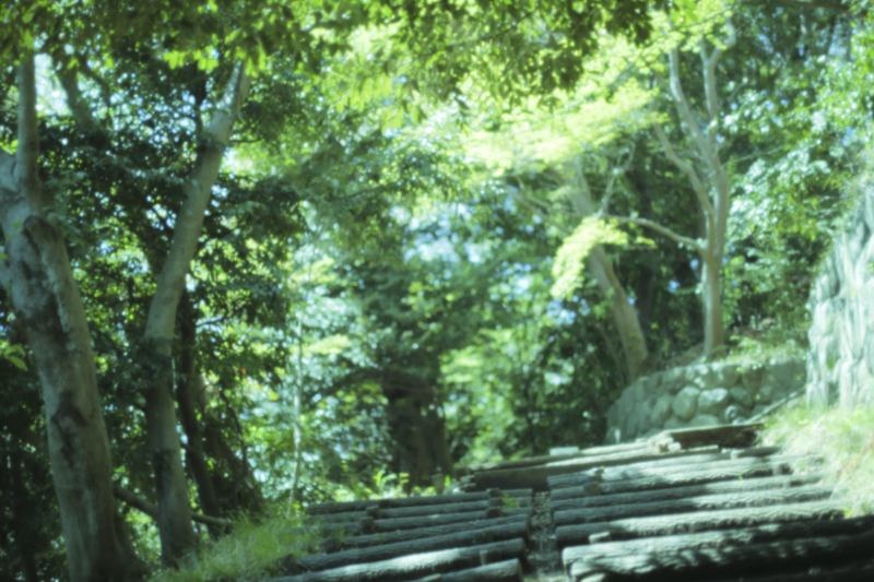 EOS 5D Mark IV／EF50mm F1.4 USM／50mm／マニュアル露出（F1.6、1/800秒）／ISO 640／WB：くもり