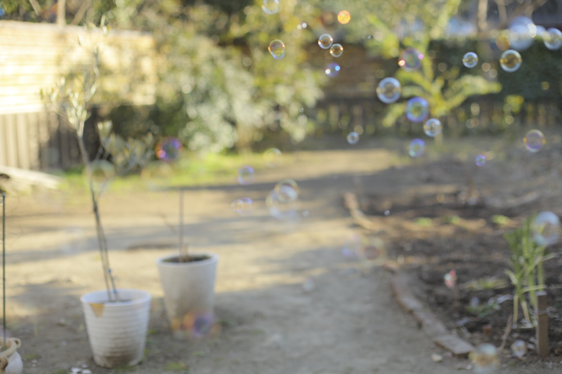 フィルター未使用