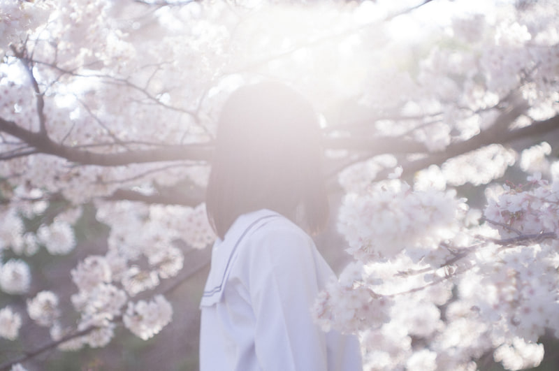 春の日の午後の優しい光とレンズの描写の相性が良く、ふんわりとしたイメージで撮影することができた。桜の花の間から差した光の拡散のし方がフィルムのような印象を作り出し、気に入っている1枚。<br>ライカM11　タンバールM f2.2/90mm（F4.8・1/350秒）ISO 64<br>※カメラが記録した絞り値を記載しています