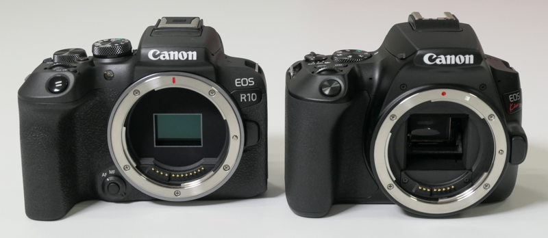 左からEOS R10、EOS Kiss X10（APS-C一眼レフ）