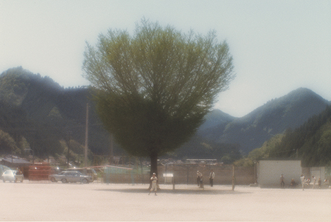 植田正治写真展：べス単写真帖 白い風 - デジカメ Watch