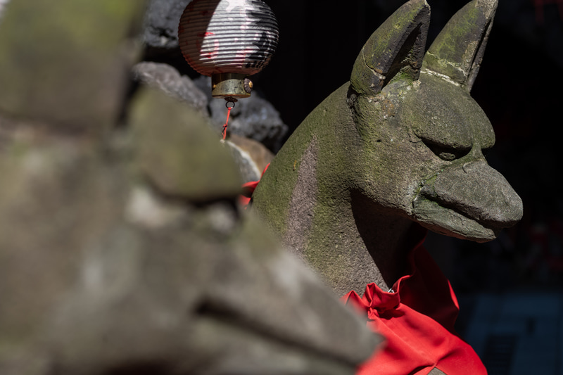 重量310gということでポケットの中に入れて歩いておりました。持ってることを忘れそうです。とにかく合焦点のシャープさがすごくて、困ります。細かい線の描写で、コントラスト高いです。ギンギン好きなあなたに。絞り開放ですが、前後ボケは悪くない。<br>M10-P　Tele-Tessar T*4/85 ZM（F4・1/1,500秒）ISO 400