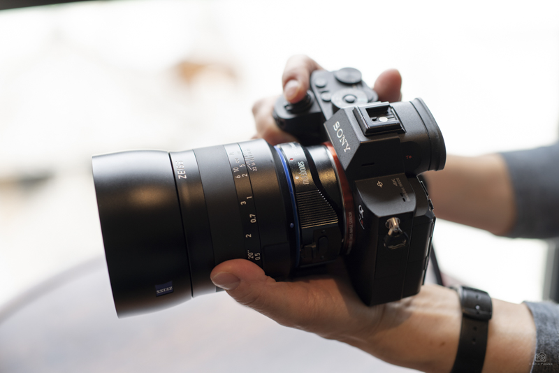 Milvus 2/50M（α7R IIIに装着）