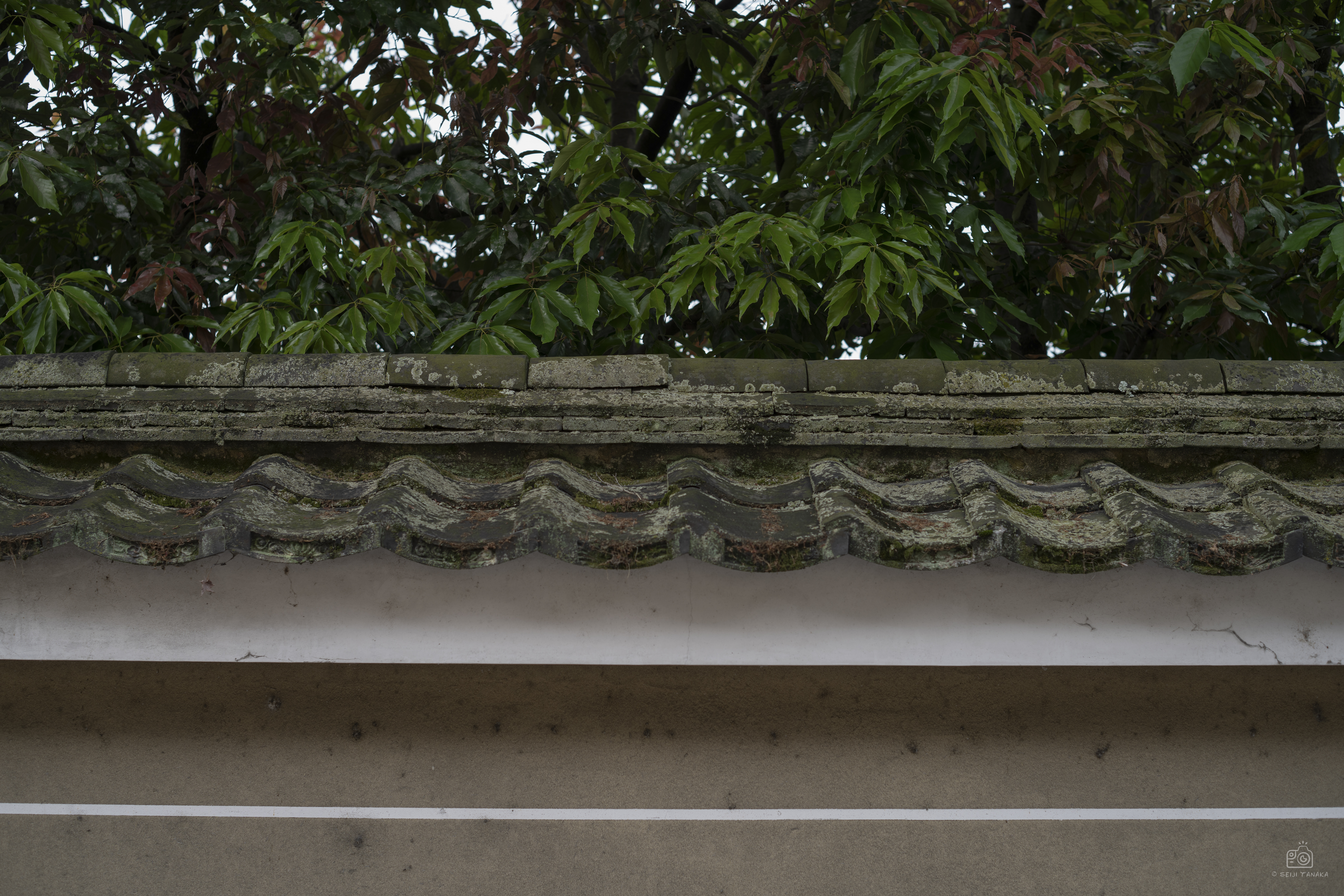 α7R II／絞り優先AE（1/80秒・F4.0・-0.3EV）／ISO 100