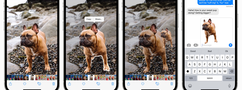 画像内の対象物が自動で切り出されるイメージ