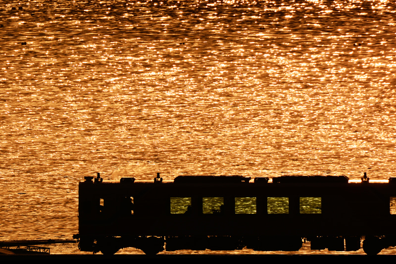 ニコンD7100　AF-S NIKKOR 80-400mm f/4.5-5.6G ED VR テレコンバーター使用 （1000mm相当）マニュアル露出（F13、1/4,000秒）ISO 200 WB:日陰