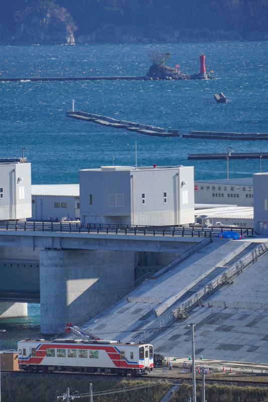 ソニーα7R IV　FE 100-400mm F4.5-5.6 GM OSS（400mm） マニュアル露出（F9、1/640秒）ISO 400 WB:太陽光