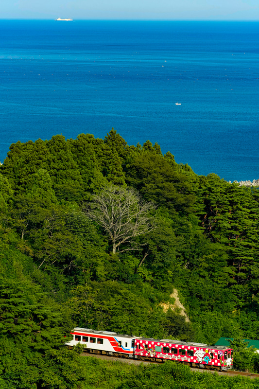 ソニーα1　FE 100-400mm F4.5-5.6 GM OSS（181mm） マニュアル露出（F8、1/500秒）ISO 800 WB:太陽光