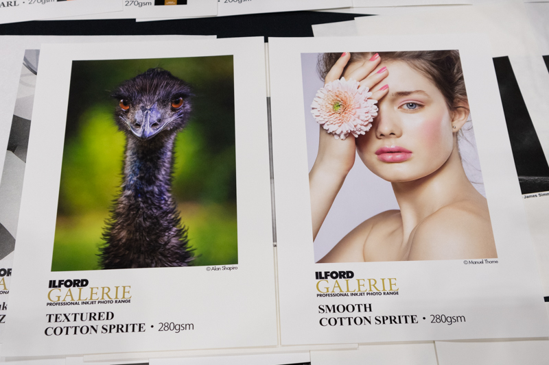 左が「テクスチャードコットンスプライト」、右が「スムースコットンスプライト」