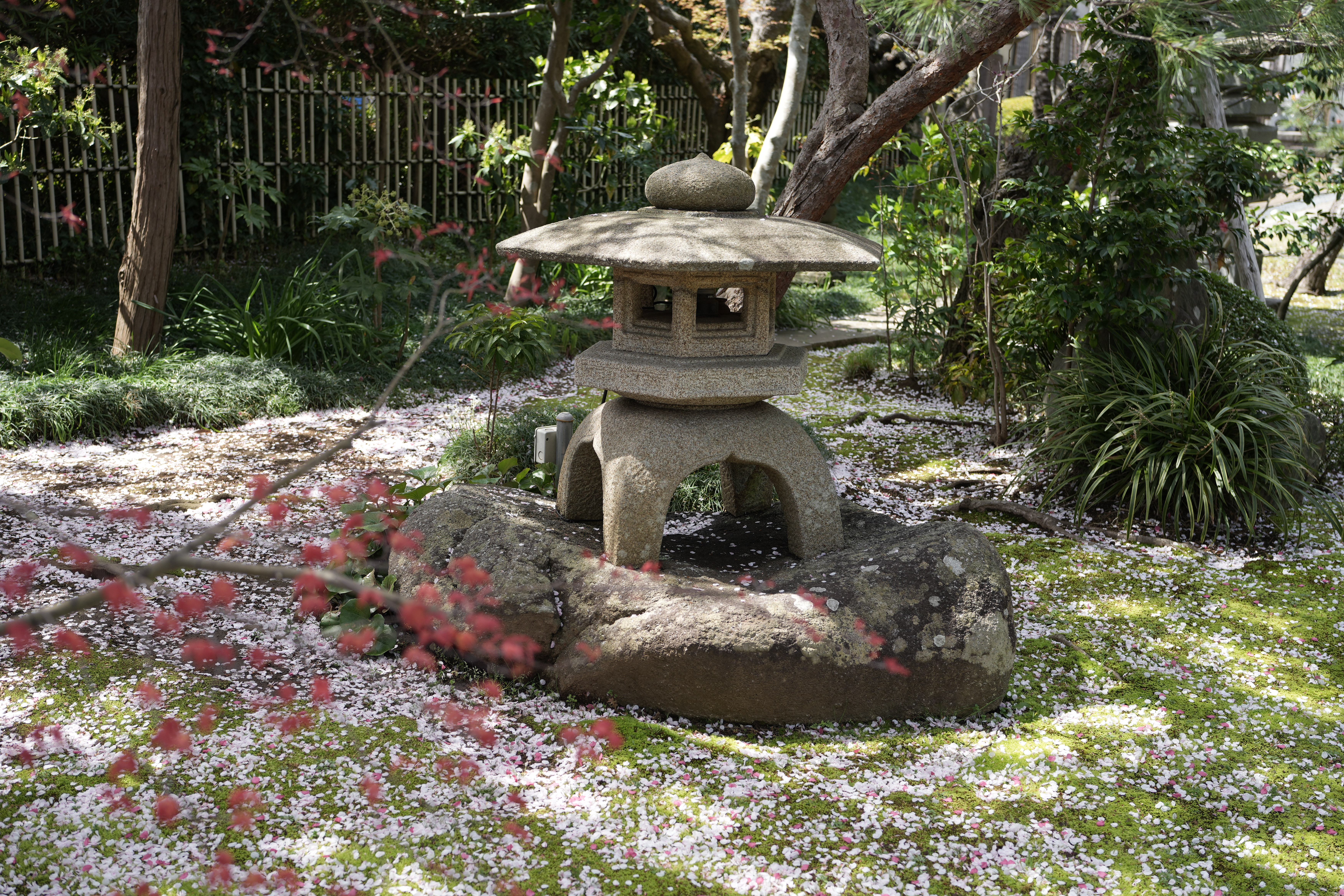 α7 IV　FE 40mm F2.5 G（F4・1/200秒）ISO 100