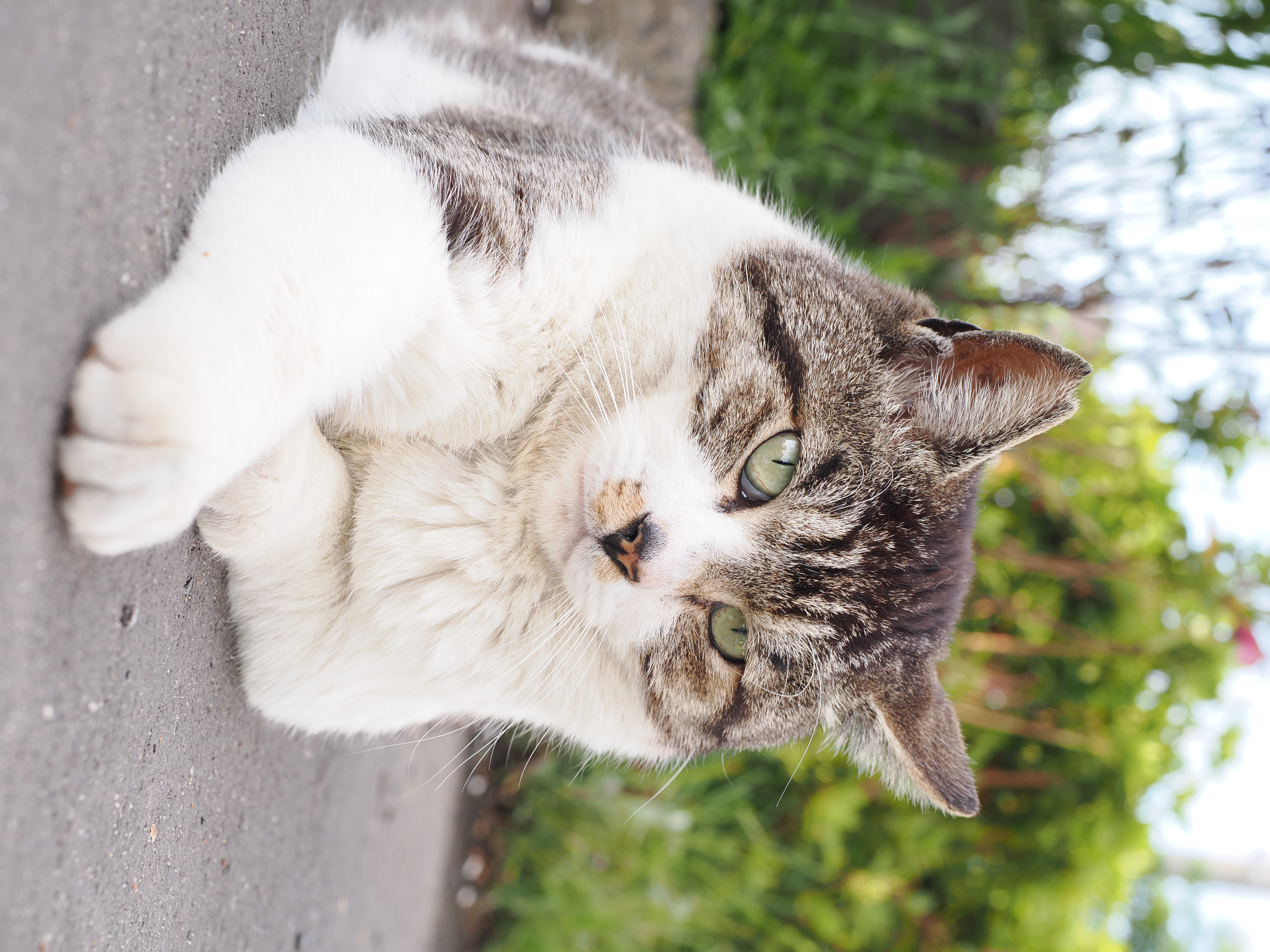 OM-1　M.ZUIKO DIGITAL ED 12-40mm F2.8 PRO II（31mm）　絞り優先AE（F5.6・1/80秒・+1.3EV）　ISO 200