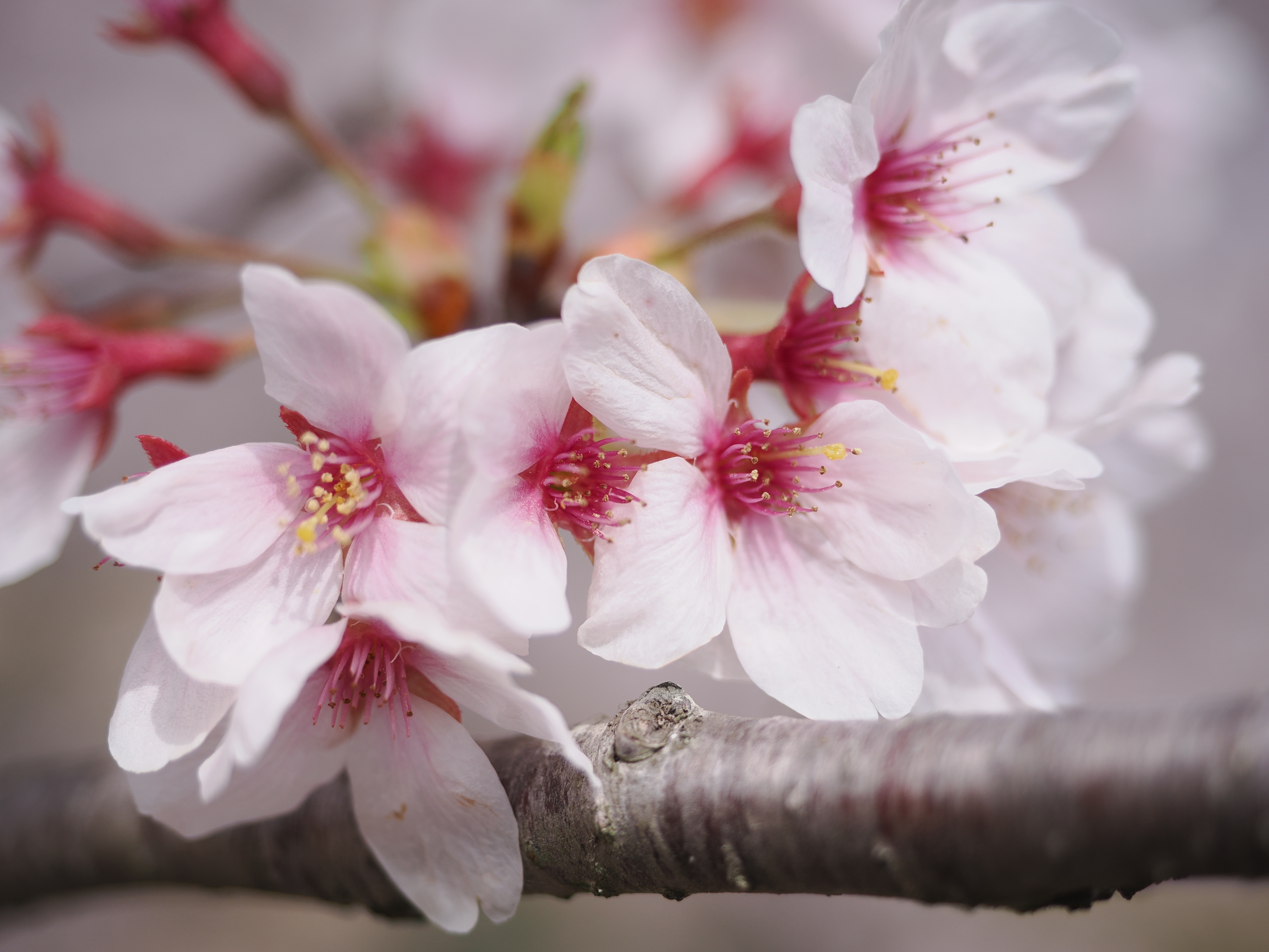 OM-1　 M.ZUIKO DIGITAL ED 12-40mm F2.8 PRO II（40mm）　絞り優先AE（F2.8・1/2,500秒・+0.7EV）　ISO 200