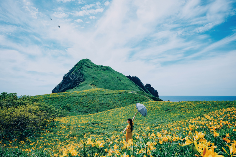 展示作品の一部