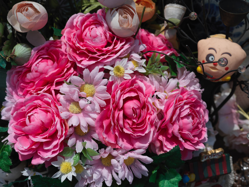 梅雨の合間、強い日差しの中で撮影しました。絞りこむと輪郭が強く細く明確になります。コントラストの高い状態でも、階調再現の繋がりの良さが嬉しいです。<br>907X+CFV II 50C　XCD 4/45P（F8・1/800秒）ISO 200