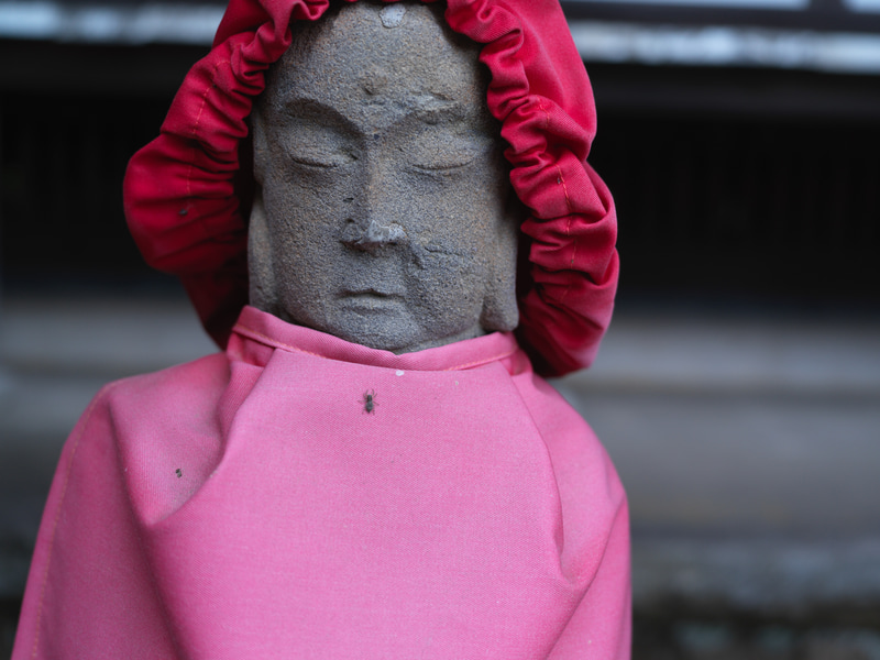 最至近距離で。大口径レンズ的な描写ではないのは見ての通りです。ものすごく素直な印象というレンズです。画面の細かいところまで見たくなるような描写です。<br>907X+CFV II 50C　XCD 4/45P（F4・1/500秒）ISO 400