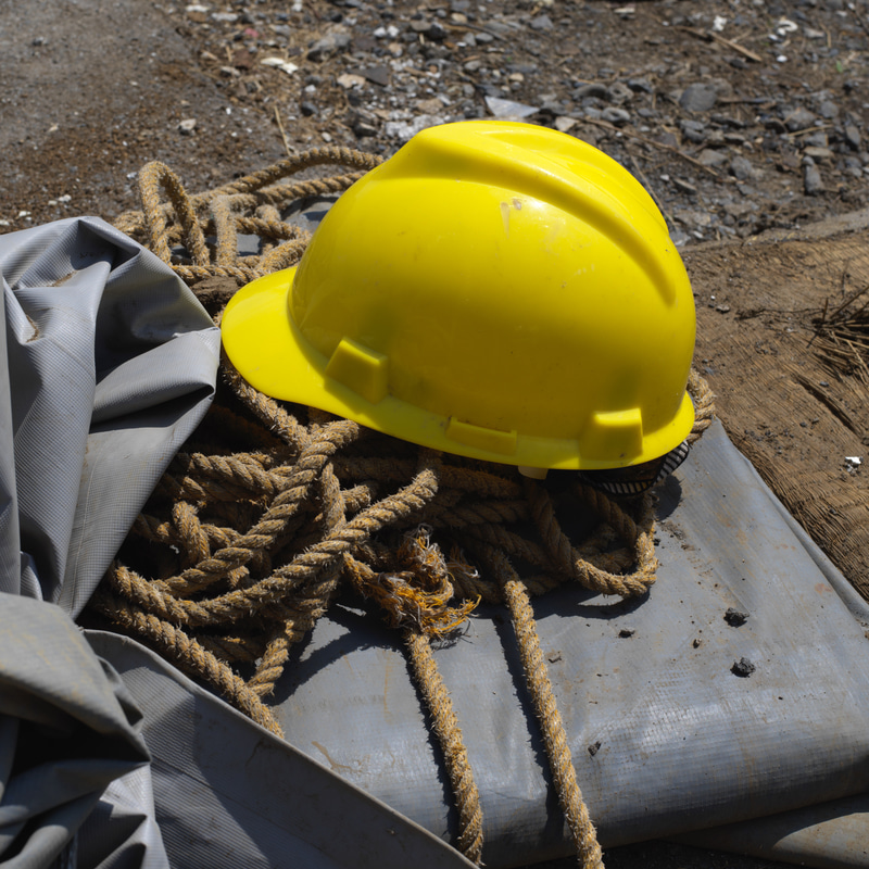 至近距離で撮影。中判特有の凄みみたいな印象は強くありませんが、雰囲気が伝わります。この距離での画像では少し手を加えてやればディテールは明確になりそうです。CFV II 50Cで撮影すると被写界深度がより浅く感じるのは、フィルムよりも解像力が高いからでしょうか。また感度も少し高い印象です。<br>CFV II 50C+553ELX　プラナーC T* 80mm F2.8（F16・1/250秒）ISO 200