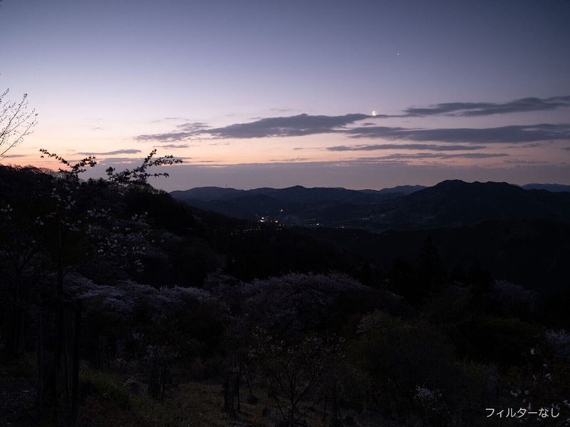 フィルターなし