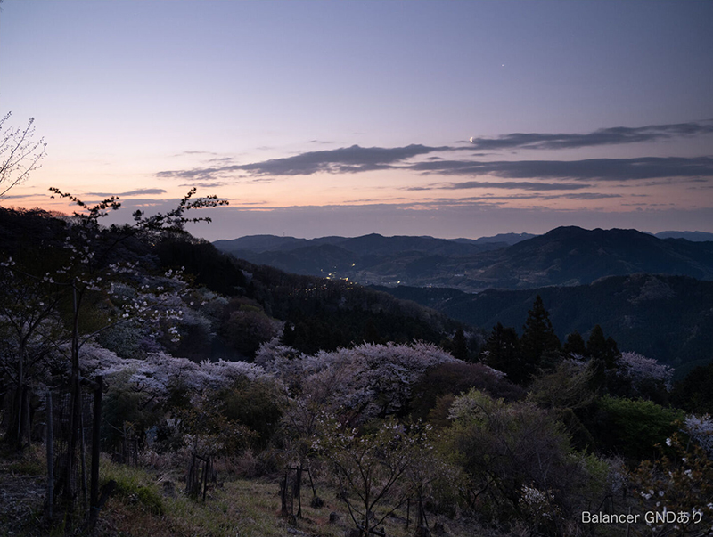 フィルターあり