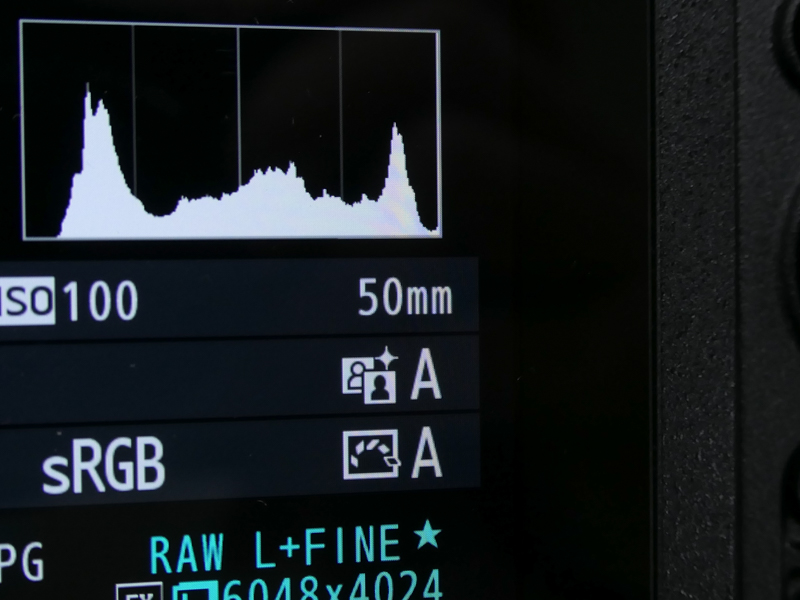 正しい順序で装着すると、6bitコードから得た情報を元に「50mm」と撮影データに記載された。ボディ内手ブレ補正も動作した