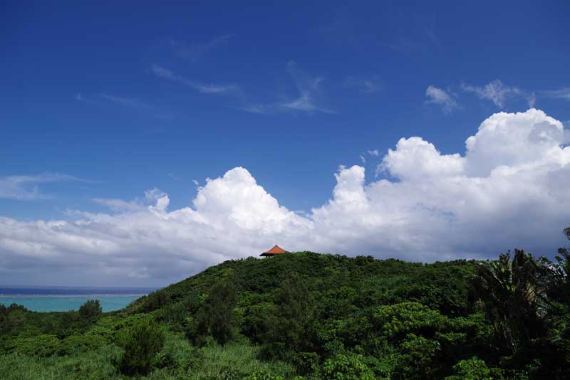 カスタムイメージ「鮮やか」（デフォルト設定）。撮影：北島清隆（以下同）