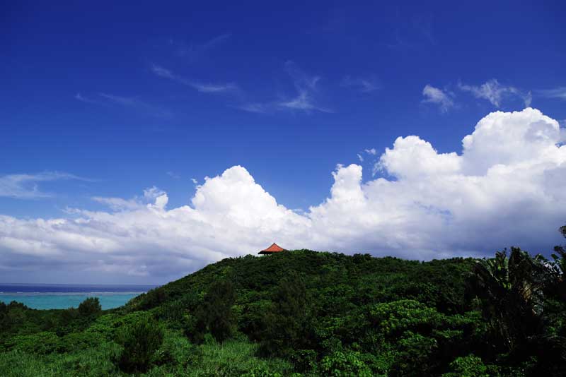 カスタムイメージ Special Edition「夏天（KATEN）」