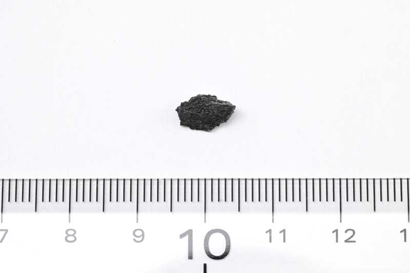 実物大サンプルレプリカ（左）と10倍サンプルレプリカ（右）