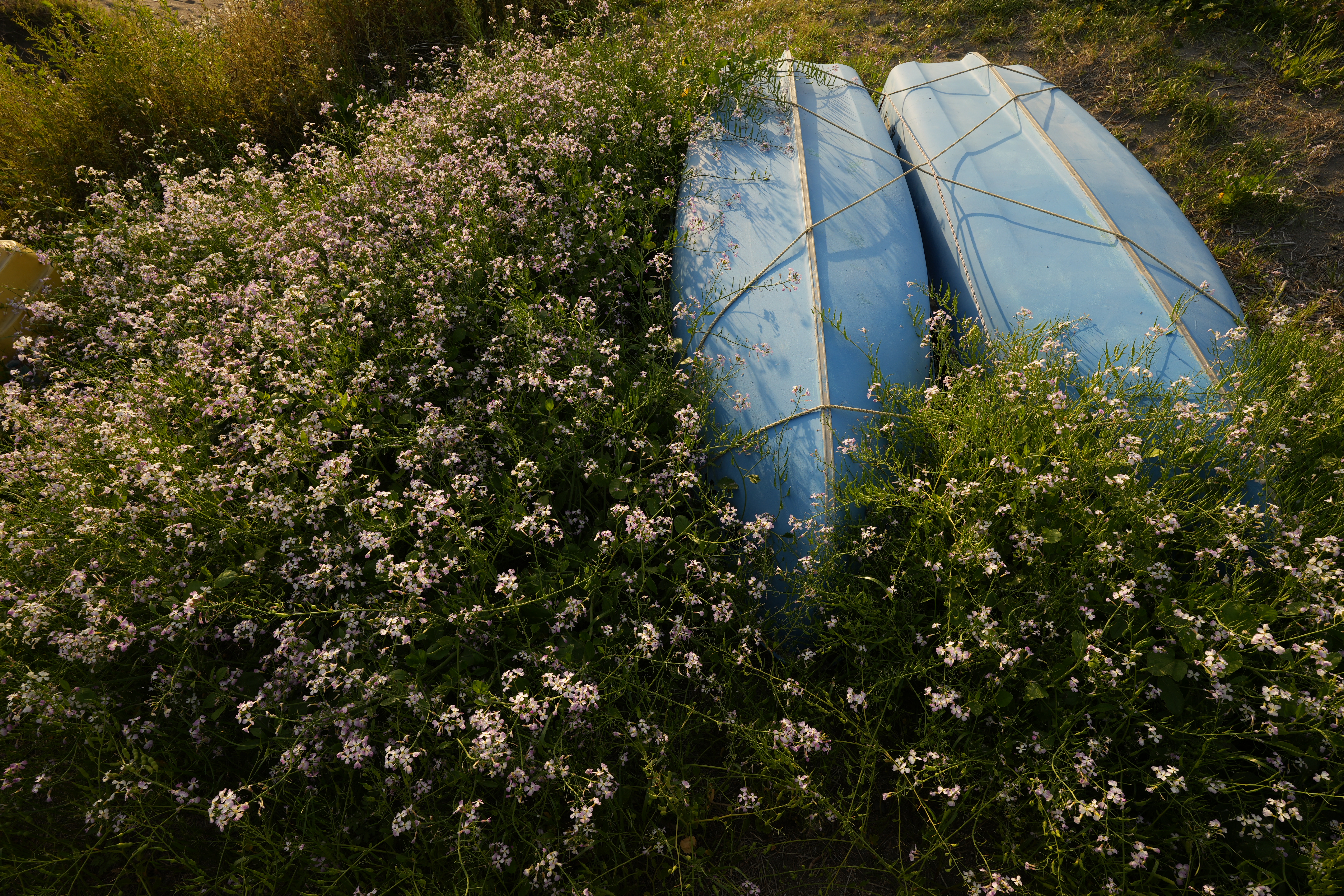 α7 IV　FE PZ 16-35mm F4 G（F8・1/100秒）ISO 100