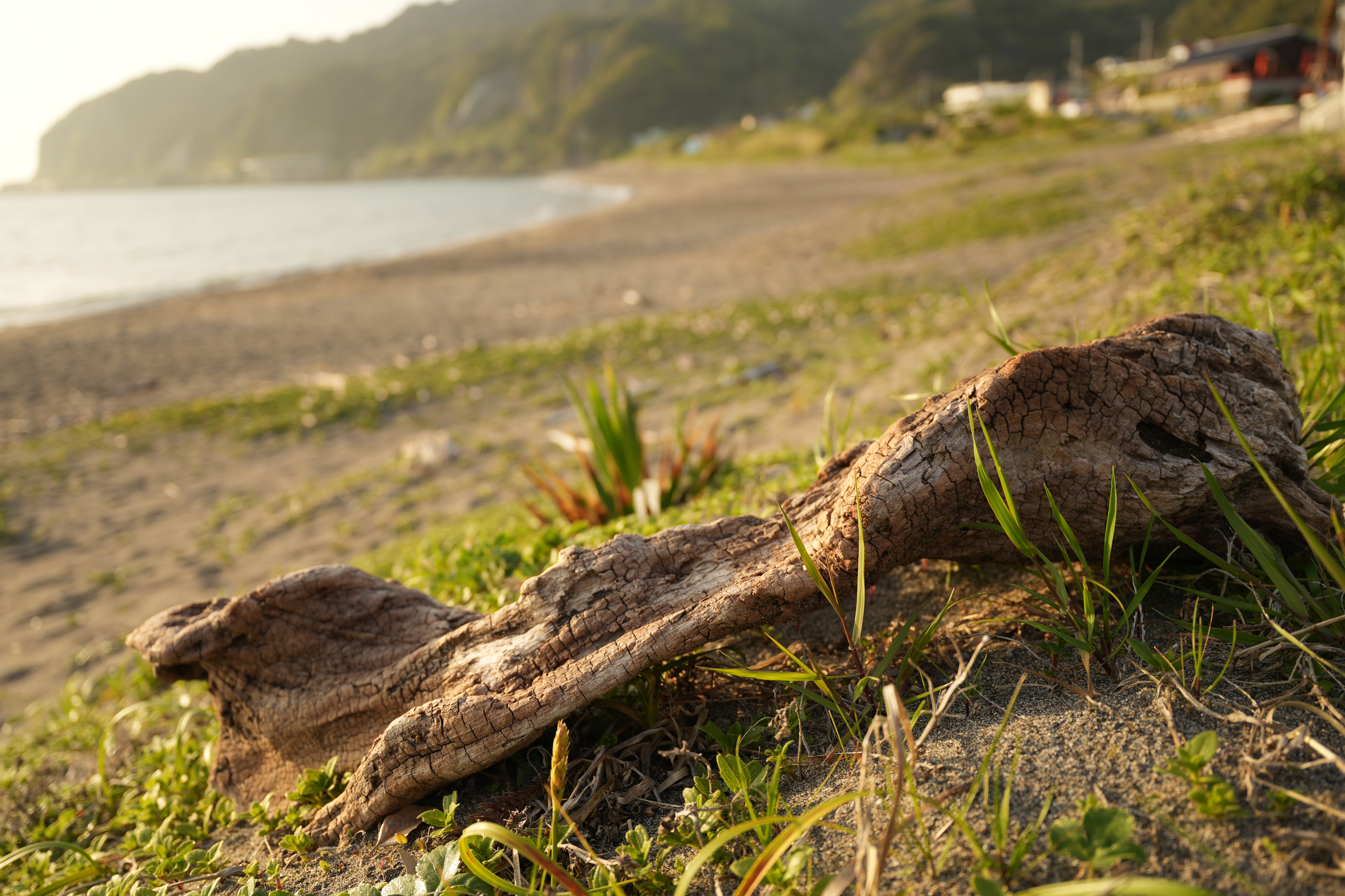 α7 IV　FE PZ 16-35mm F4 G（F4・1/250秒）ISO 100